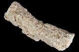 - Fulgurites (Petrified Lightning) Wholesale Lot ~ Pieces #76034-2